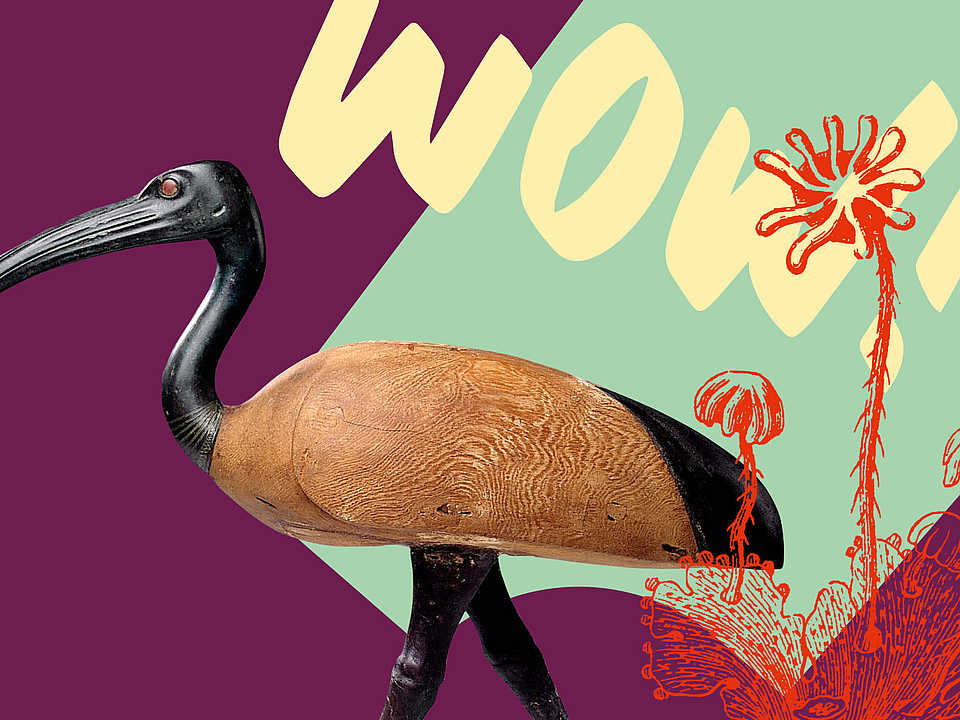 Grafik des RPM Museums mit abstrahiertem Vogelmotiv, kräftigen Farben und ornamentalen Gestaltungselementen