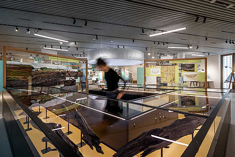 Großflächige Vitrinen mit historischen Exponaten in der Dauerausstellung des Stadtmuseums Oldenburg.