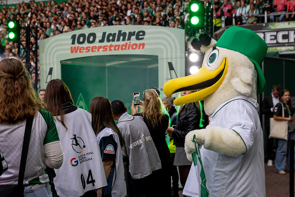 Werder-Maskottchen beim Launch von 100 Jahre Weserstadion im voll besetzten Stadion