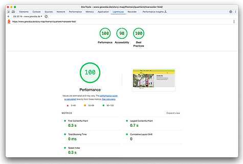 Screenshot von Lighthouse-Testdaten